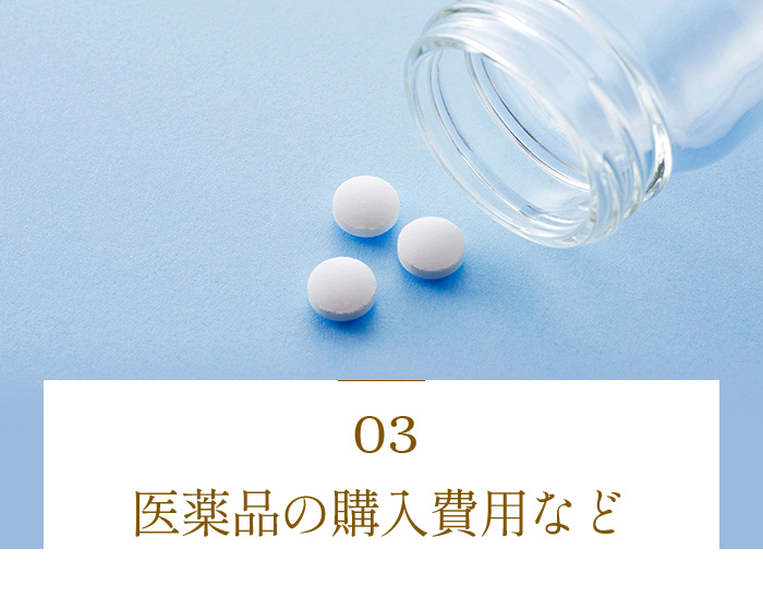 医薬品の購入費用など